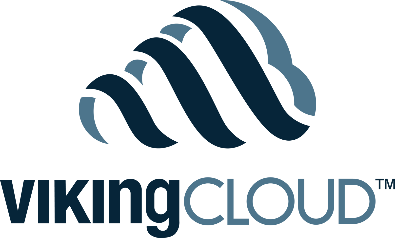 VikingCloud (formerly • FTV Management Company, L.P.
