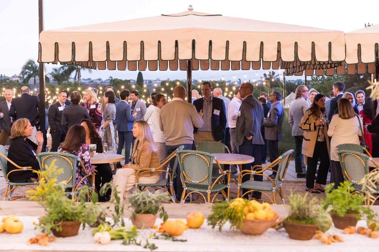 01_Networking_carousel